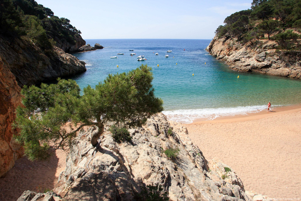 Cala Pola Tossa De Mar Patronat De Turisme Costa Brava Girona Cala Pola Tossa De Mar Patronat De Turisme Costa Brava Girona